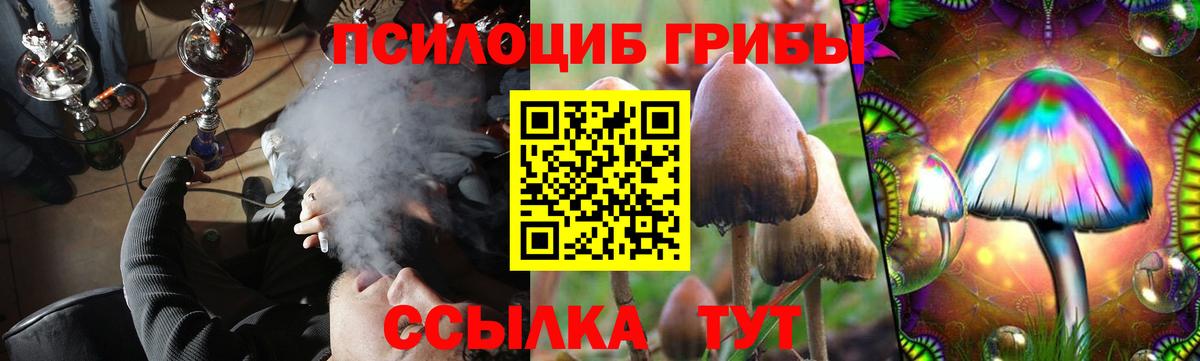 Псилоцибиновые грибы ЛСД  даркнет сайт  Галлюциногенные грибы Magic Shrooms  Мончегорск  Вход с VPN 